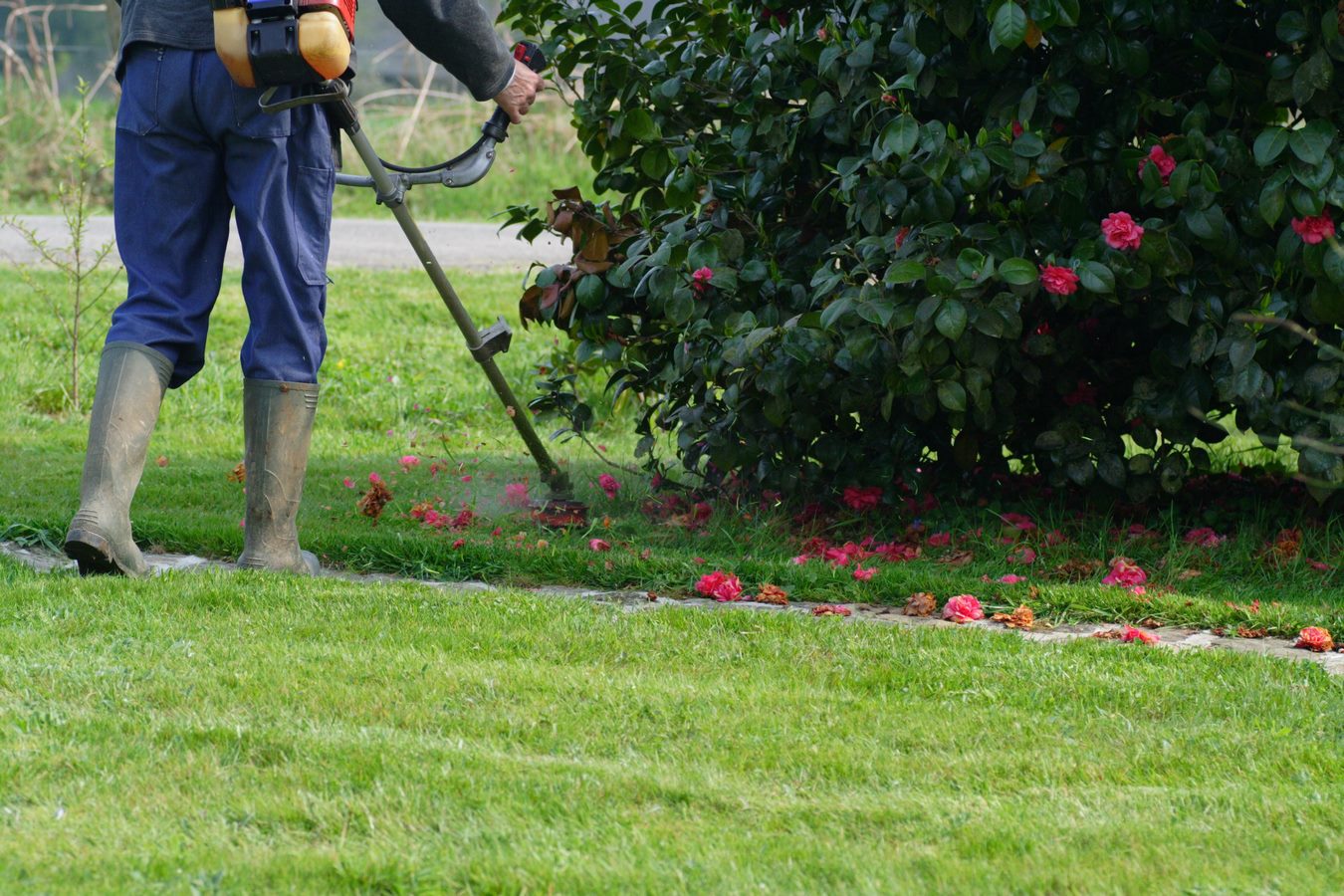 Entretien des espaces verts et désherbage en Île-de-France Entretien des espaces verts et désherbage en Île-de-France
